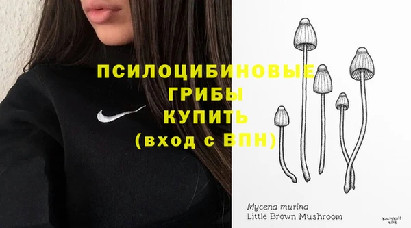 круглые Алексеевка